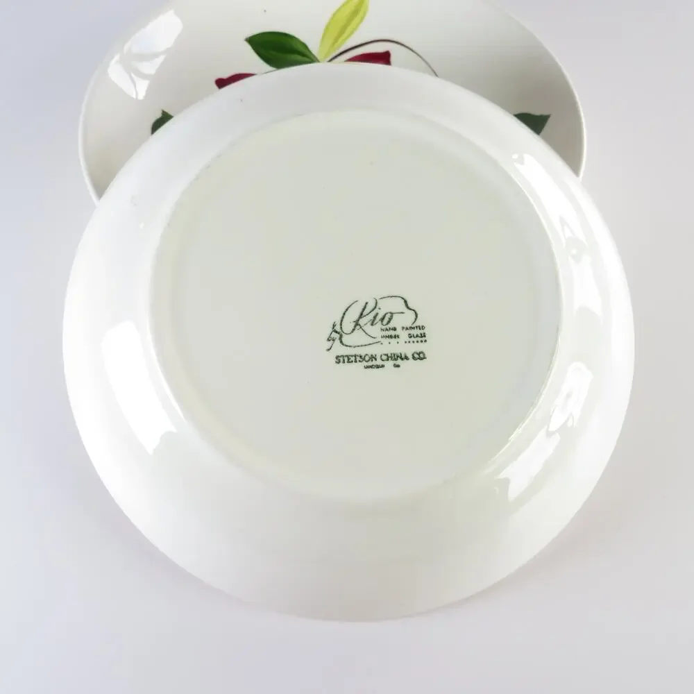 Vintage Stetson Rio Meadow Rose 20 Pc Dinnerware Set Service for 4 MCM USA